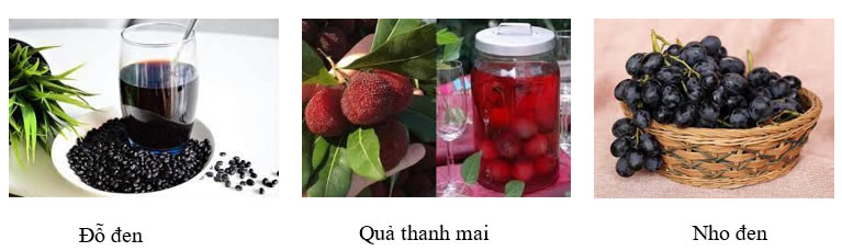 Rau, củ, quả có màu đỏ đến tím chứa hoạt chất chống oxy hóa có lợi cho 23 Win bet nhà cái WC 2026