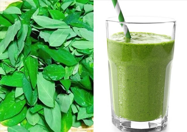 Dấu hiệu ngộ độc do uống nước ép rau ngót giảm cân sai cách-Ảnh 2