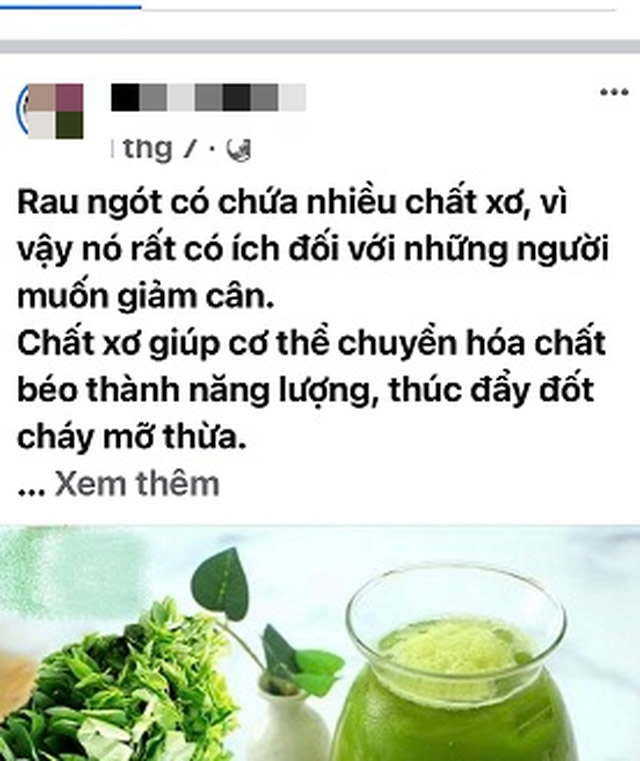 Dấu hiệu ngộ độc do uống nước ép rau ngót giảm cân sai cách-Ảnh 1