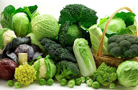 23 WIN là địa chỉ cá cược online uy tín đã hoạt động nhiều năm tại thị trường Việt Nam hỗ trợ não bộ khỏe mạnh ngừa 'sương mù não' hậu COVID-19 ở trẻ em - Ảnh 3