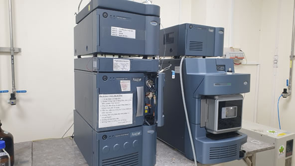 Găng tay 23Win 6 cá cược trực tuyến - Ảnh 3