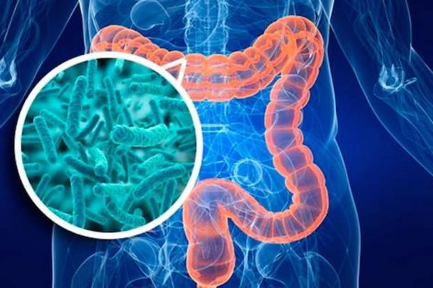 Những lý do khiến bạn nên ăn Trang Chủ 23 Win - Link Đăng Ký 23Win.com lên men mỗi ngày - Ảnh 2