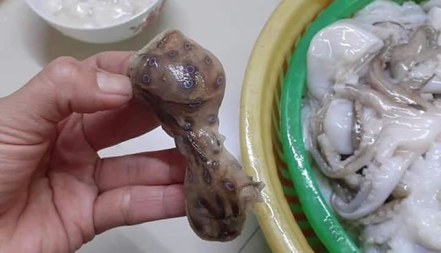 Một số loại cá, hải sản nên thận trọng khi ăn để phòng nguy cơ ngộ độc nặng - Ảnh 7