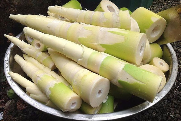 Ăn măng sẽ gây hại cho dạ dày, đúng hay sai? - Ảnh 1