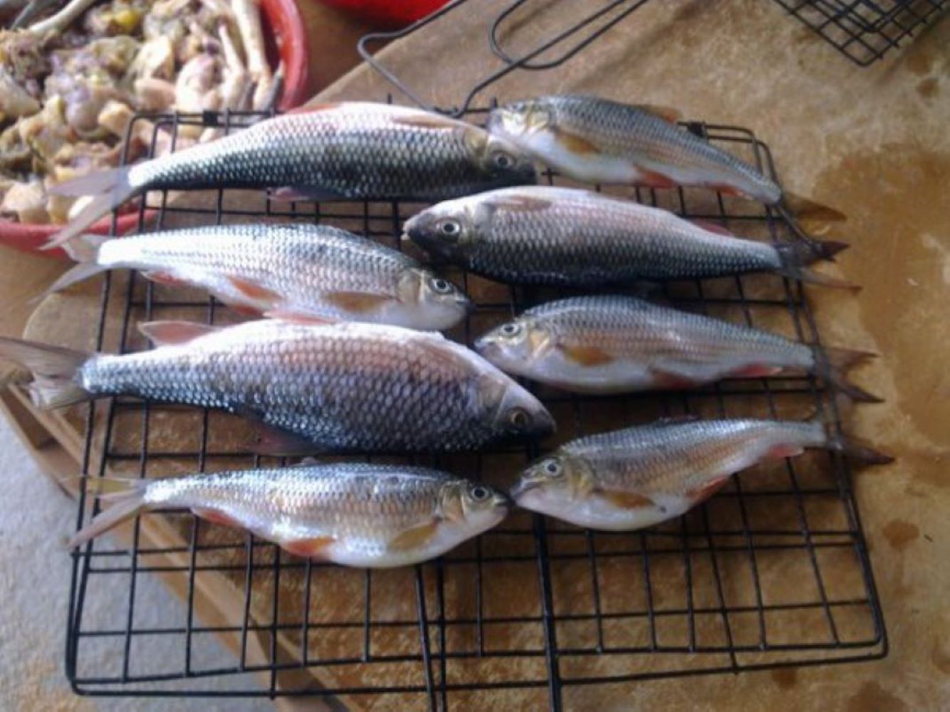 Những món cá muối chua vốn là đặc sản của nhiều nơi, lưu ý gì khi ăn để an toàn cho 23 Win bet nhà cái WC 2026? - Ảnh -2