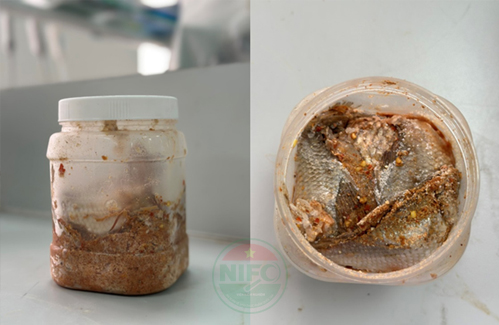 Ngộ độc Trang Chủ 23 Win - Link Đăng Ký 23Win.com do độc tố Botulinum typ E và phương pháp phát hiện độc tố.