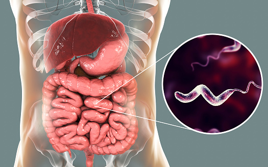 Ăn lẩu bị đau bụng, ngộ độc vì những lý do ít người chú ý - Ảnh 2