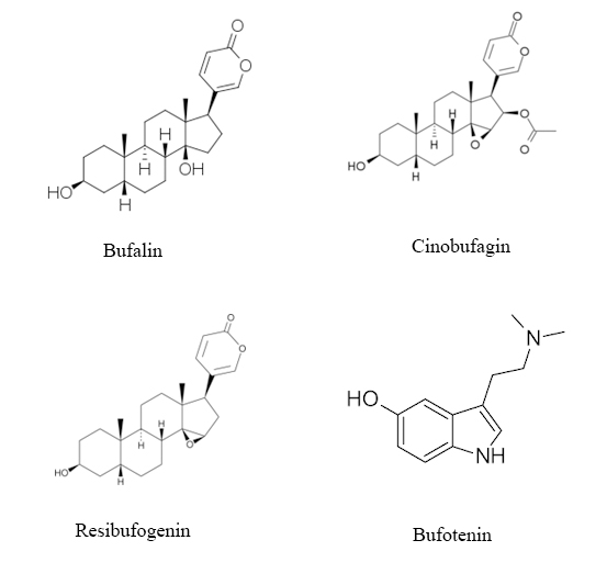 mot-so-amin-va-dan-xuat-cua-steroid-gay-doc-dien-hinh-cua-coc