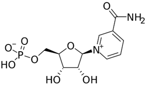 cong-thuc-cau-tao-cua-nmn