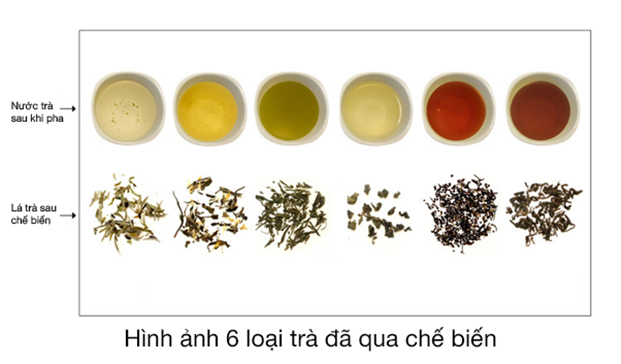 nuoc-tra-va-la-tra-qua-cac-cach-che-bien-khac-nhau