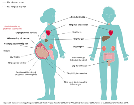 harmful-effects-of-PFAS-on-humans