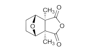 Cantharidin-doc-to-do-sau-ban-mieu-gay-ra